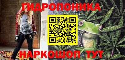 гашик Жуковский