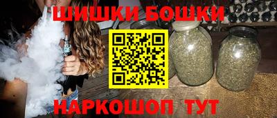 гашик Жуковский