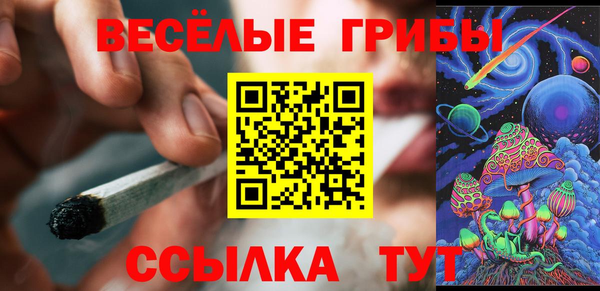 Псилоцибиновые грибы мицелий Новокузнецк