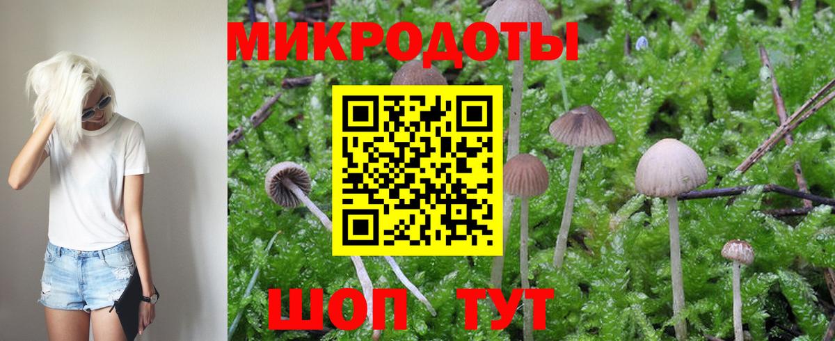 Галлюциногенные грибы Psilocybe  Вход с VPN  где продают   Псилоцибиновые грибы GOLDEN TEACHER  Новокузнецк 